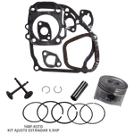 Kit Ajuste Estándar Motor 5.5Hp