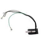 BOBINA DE DISPARO (00062 Y 00063